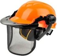 Forestry Helmet with Mesh Visor